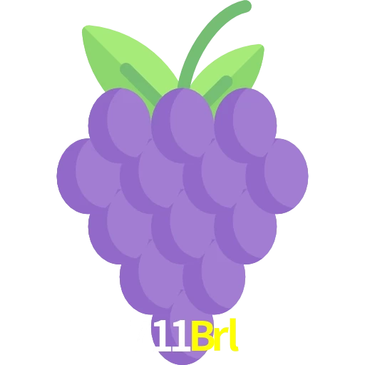 711Brl